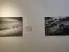 Expo-andres-4