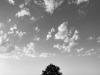 53c00708-7cdc-49f3-9768-76660f380fc0
