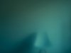 DSC0016