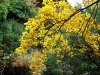Naturaleza-3