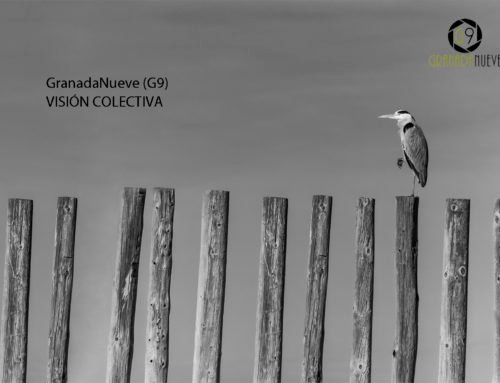 Presentación de «Visión Colectiva», libro del Grupo GranadaNueve para el año 2020