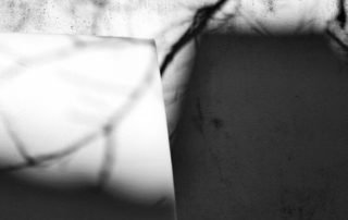 15_MISMO_20191228_152235