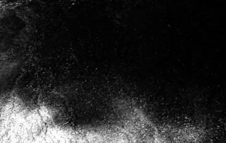 33_INMARCESIBLE_20210116_120500-01 BN