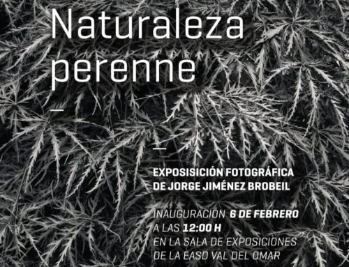 Visita guiada a la Exposición «Naturaleza perenne» de Jorge Jiménez Brobeil