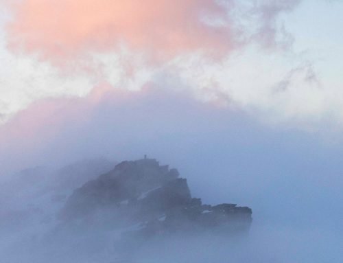 LA DANZA DE LA NIEBLA – MARIOLA GUERRERO