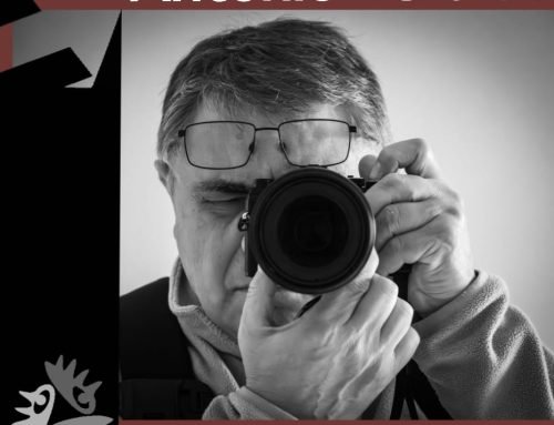 Taller de Catalogación y Edición en Lightroom